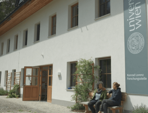 Spatenstich: Konrad Lorenz Forschungsstelle bekommt Open Science Center