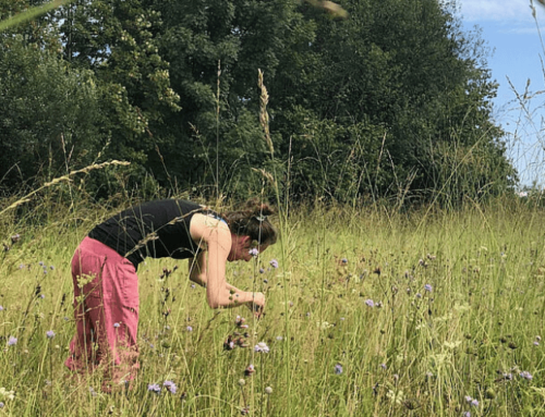 Projektstart für Artenschutz in Botanischen Gärten